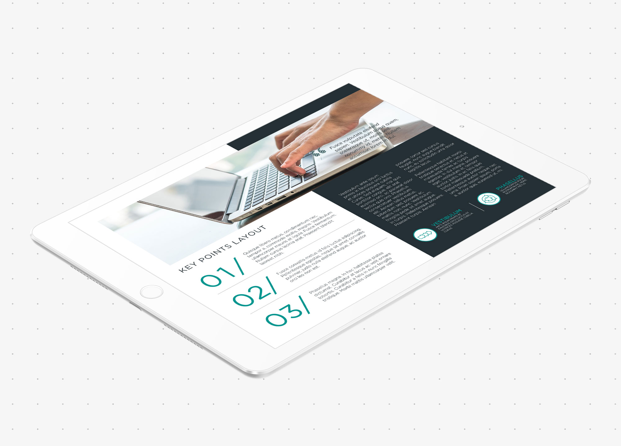 Interactive document design Project Manager, Lead Digital & Graphic